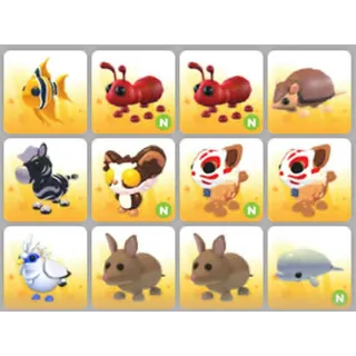 BUNDLE PET X12