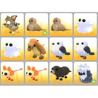 BUNDLE PET X12