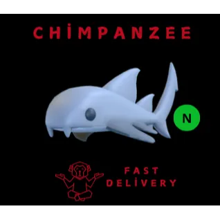 NURSE SHARK NEON