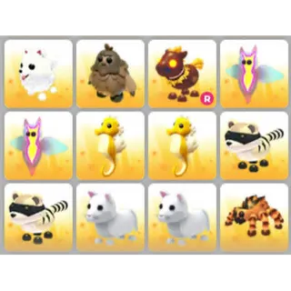 BUNDLE PET X12
