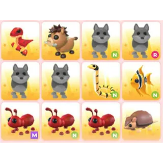 BUNDLE PET X12