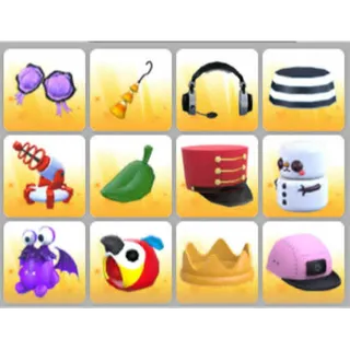 BUNDLE PET WEAR X12
