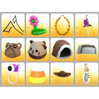BUNDLE PET WEAR X12