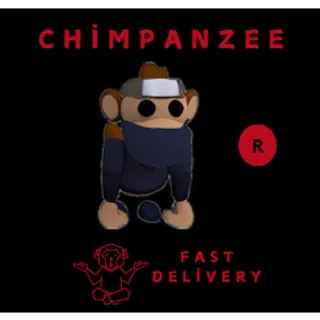 NINJA MONKEY R