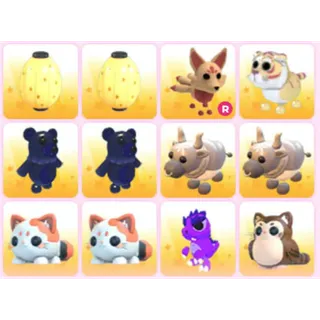 BUNDLE PET X12