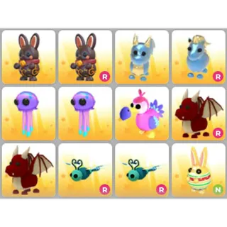 BUNDLE PET X12
