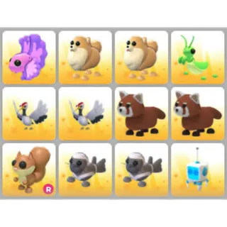 BUNDLE PET X12