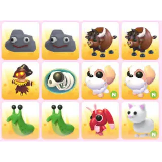 BUNDLE PET X12
