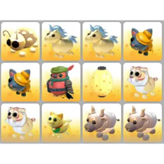 BUNDLE PET X12