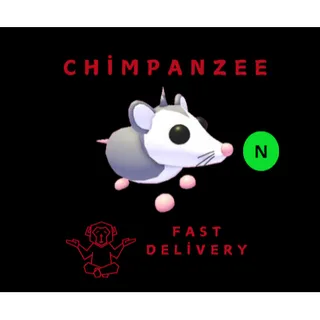 POSSUM NEON