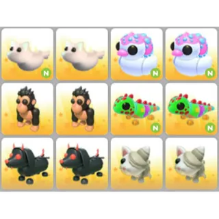 BUNDLE PET X12