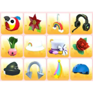 BUNDLE PET WEAR X12