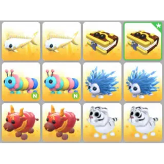 BUNDLE PET X12