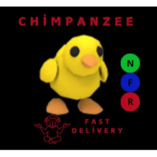 CHICK NFR