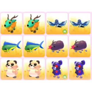 BUNDLE PET X12