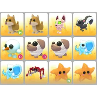 BUNDLE PET X12