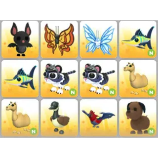 BUNDLE PET X12