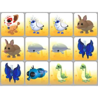 BUNDLE PET X12