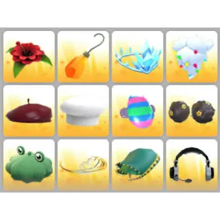 BUNDLE PET WEAR X12