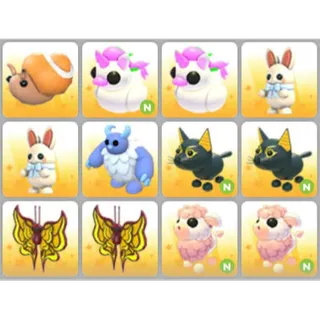 BUNDLE PET X12