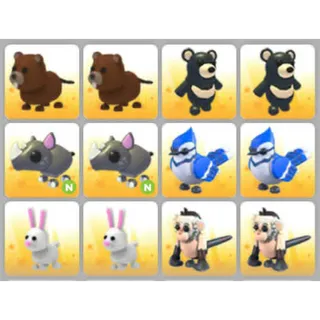 BUNDLE PET X12