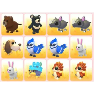 BUNDLE PET X12