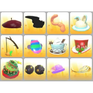 BUNDLE PET WEAR X12