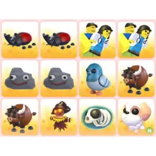 BUNDLE PET X12