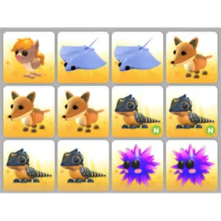 BUNDLE PET X12