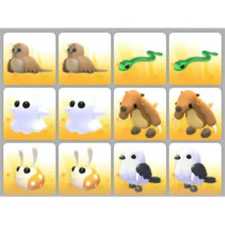 BUNDLE PET X12