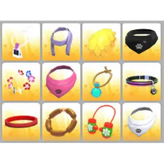 BUNDLE PET WEAR X12