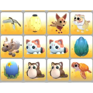 BUNDLE PET X12