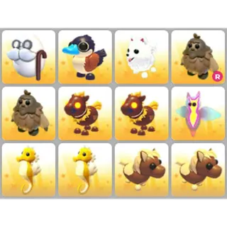 BUNDLE PET X12