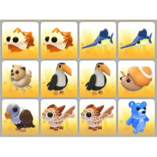 BUNDLE PET X12