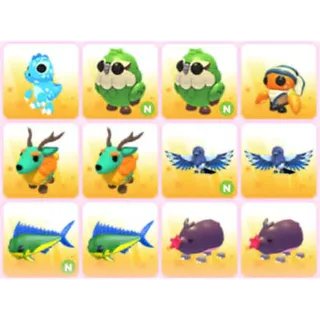 BUNDLE PET X12