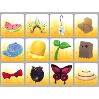 BUNDLE PET WEAR X12