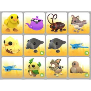 BUNDLE PET X12