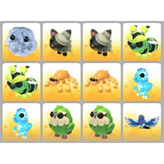 BUNDLE PET X12