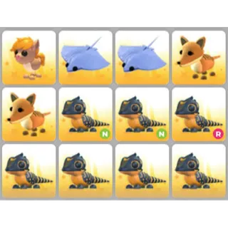 BUNDLE PET X12