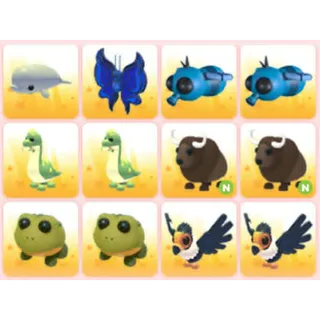 BUNDLE PET X12