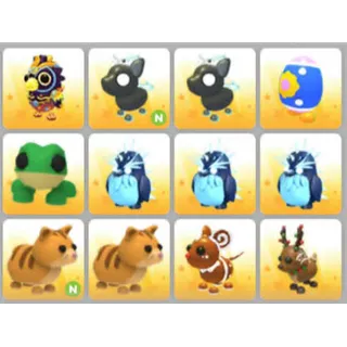 BUNDLE PET X12