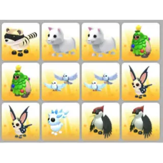 BUNDLE PET X12