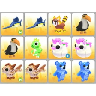 BUNDLE PET X12
