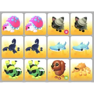 BUNDLE PET X12