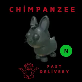 AMAMI RABBIT NEON