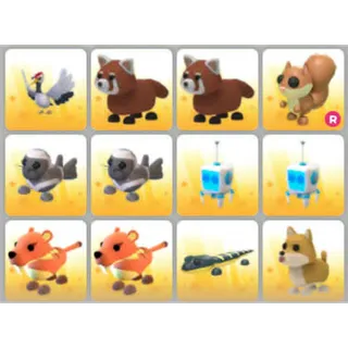 BUNDLE PET X12