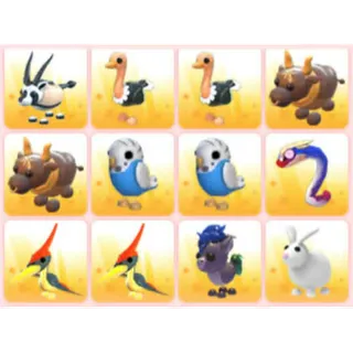 BUNDLE PET X12