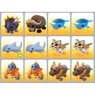 BUNDLE PET X12