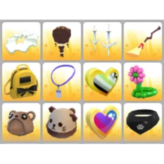 BUNDLE PET WEAR X12