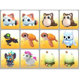BUNDLE PET X12